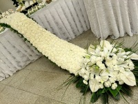 https://oss-eu-central-1.aliyuncs.com/kamva-files/1510385208/images/shop/2136900882f3fc195d448c4232a0665a.jpg